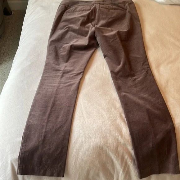 Loft velvet brown 6P Marisa Skinny Pant - Picture 3 of 5